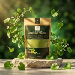Premium Ceylon Gotukola Powder (Centella asiatica Powder) | 100% Pure Sri Lankan Gotukola Leaves (Centella asiatica Leaves)